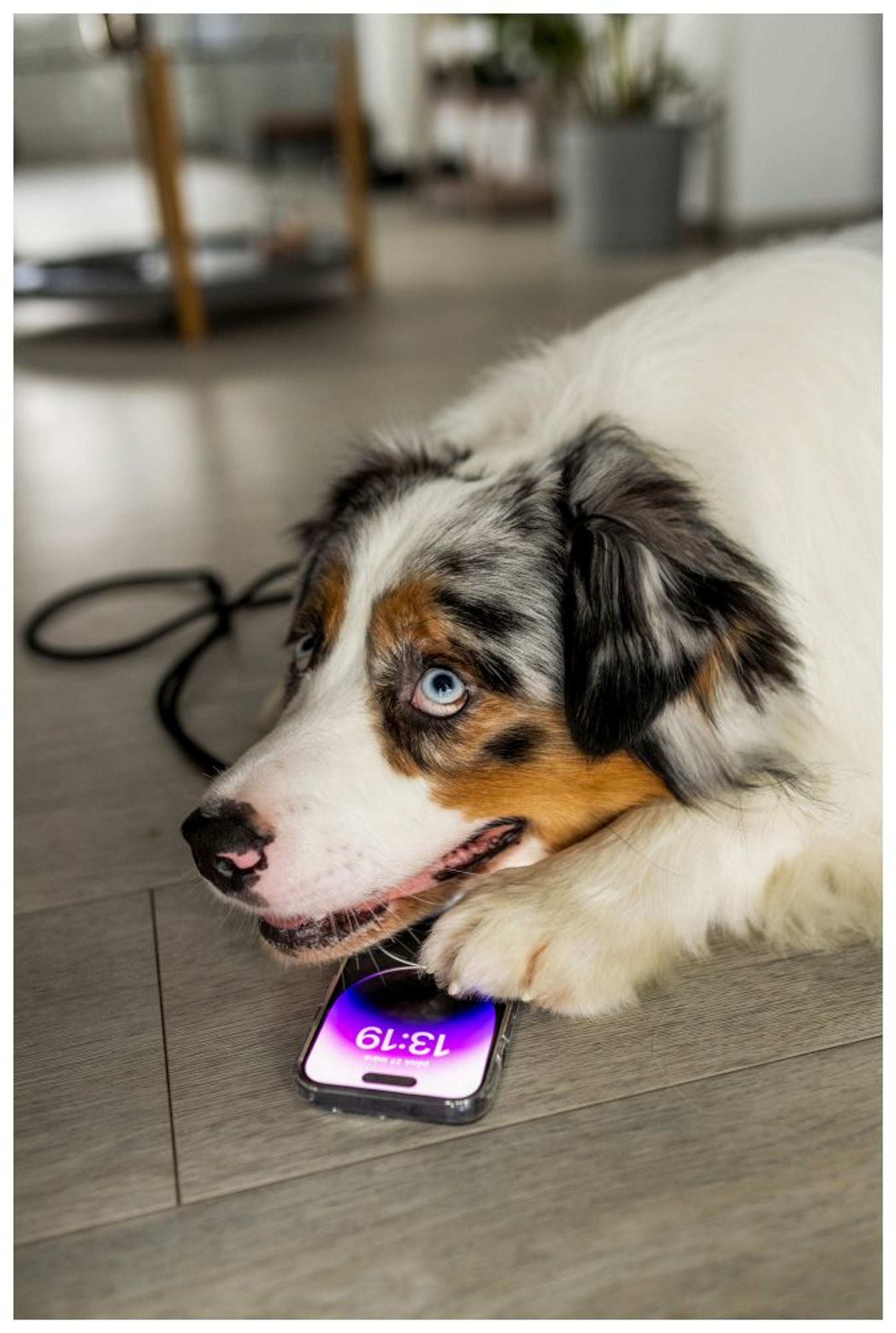 Prémiové ochranné tvrzené sklo FIXED Armor s aplikátorem pro Samsung Galaxy S24 Ultra, černé - FIXED